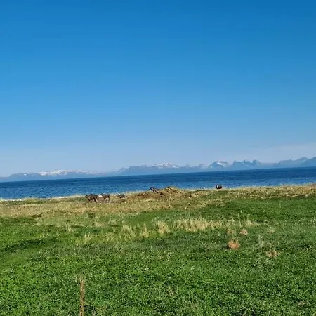 Solheim Pensjonat *
