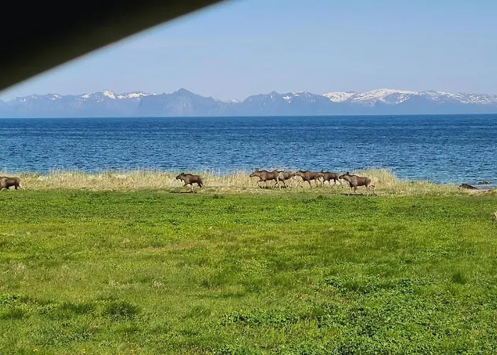 בית הארחה Solheim *